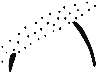 Image of the occurrence